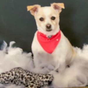 Meet your Posher, Judy